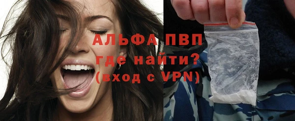 ГАЛЛЮЦИНОГЕННЫЕ ГРИБЫ Карталы