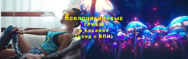 ГАЛЛЮЦИНОГЕННЫЕ ГРИБЫ Карталы