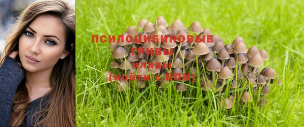 синтетический гашиш Кинешма