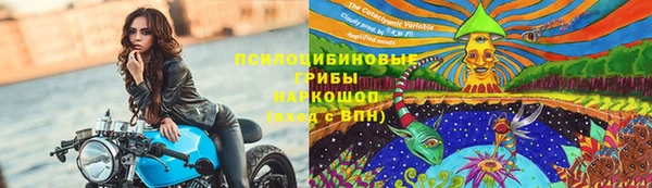 синтетический гашиш Карпинск